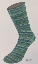 LandLust die Sockenwolle 4-fach 810 - Streifen/Meliert