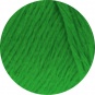 12 - Grasgrün